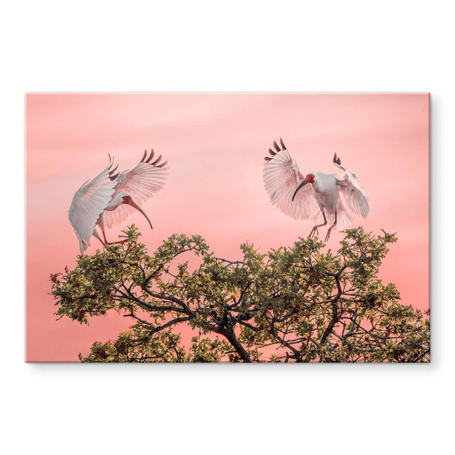 Acrylglasbild Natur - Zhao - Vogelpärchen im Sonnenuntergang