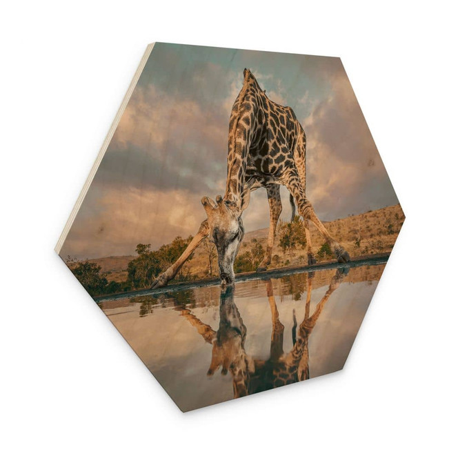 Hexagon Holzbild Reflexion einer Giraffe in der Wildnis - Amtmann