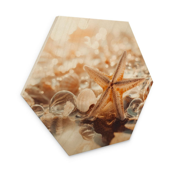 Hexagon Holzbild Muscheln am sonnigen Strand - Treechild