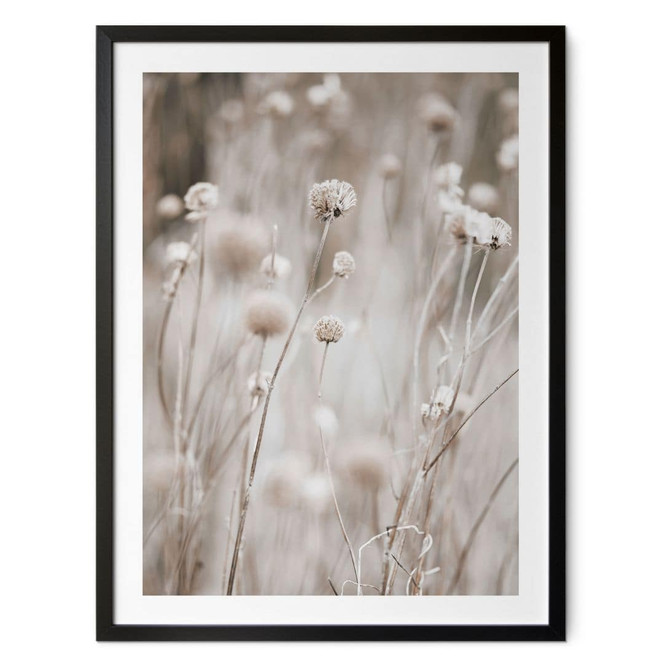 Poster Getrocknete Blüten in sanften Tönen - Annie