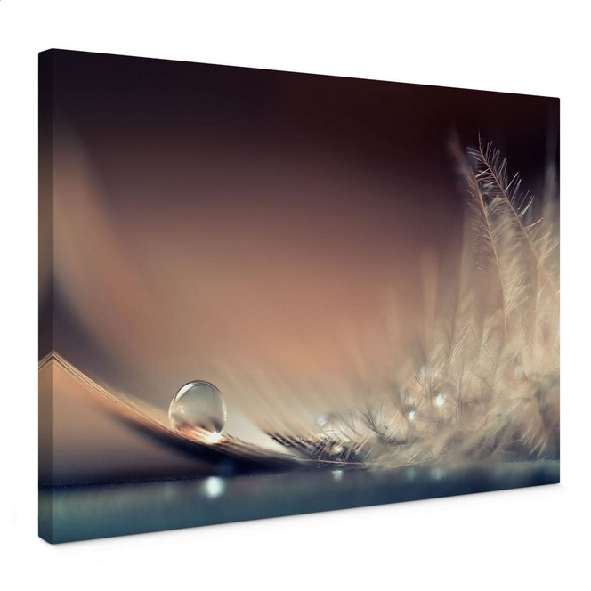 Leinwandbild Story of a Waterdrop | Feder Wandbild - Dmitry