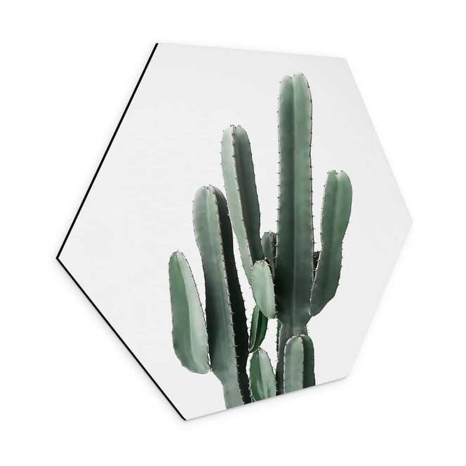 Hexagon Wandbild Kaktus Pflanze - Alu-Dibond - Sisi & Seb