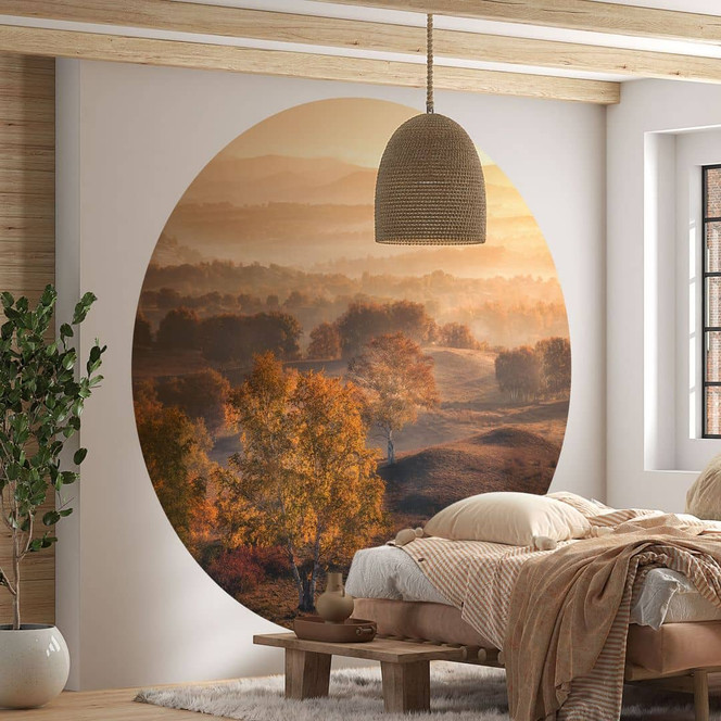 Fototapete Birkenbäume im goldenen Morgentau | Natur Landschaft - Cui - Rund - Selbstklebend/Vlies