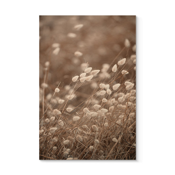 Holzbild Zarte Gräser im Herbstlicht - Collins