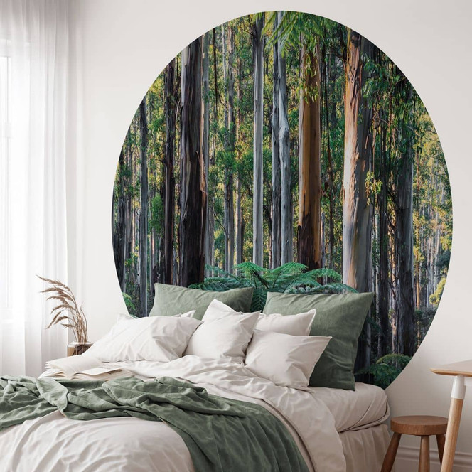 Fototapete Eukalyptuswald in den Yarra Ranges | Waldtapete - Colombo - Rund - Selbstklebend/Vlies