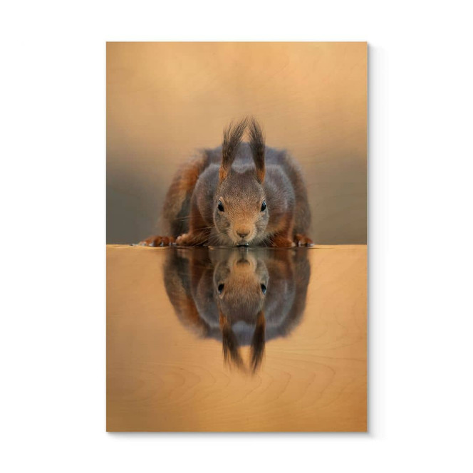 Holzbild Eichhörnchen am Wasser - van Duijn