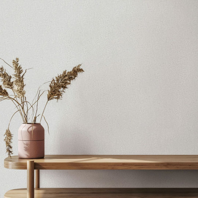 Vliestapete in Grau, Weiss Strukturierte Putzoptik Uni