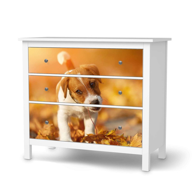 Möbelfolie IKEA Hemnes Kommode 3 Schubladen - Jack the Puppy- Bild 1