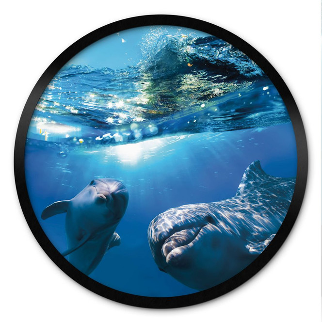 Poster Dolphins Underwater - Rund