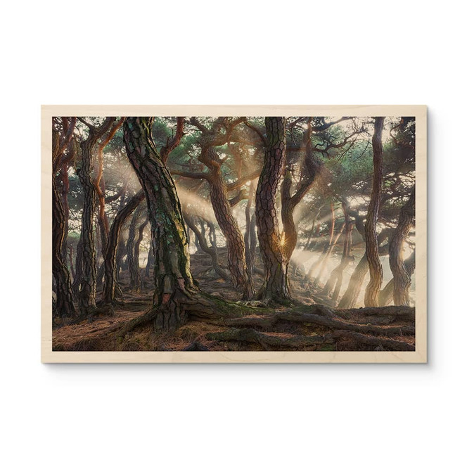 Holzbild Heiliger Kiefernwald - Ryu