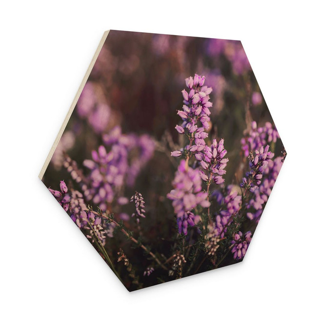 Hexagon Holzbild Lila Heideblüte im warmen Licht - Annie