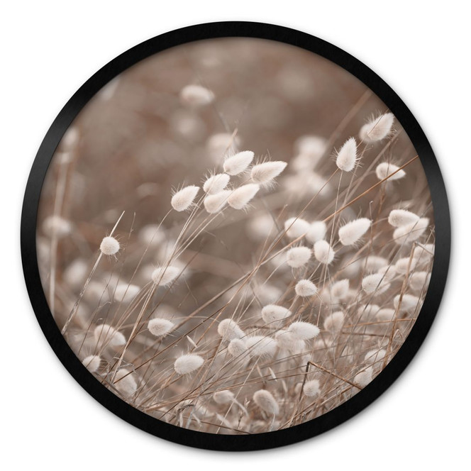 Poster Zarte Gräser im Herbstlicht - Collins - Rund