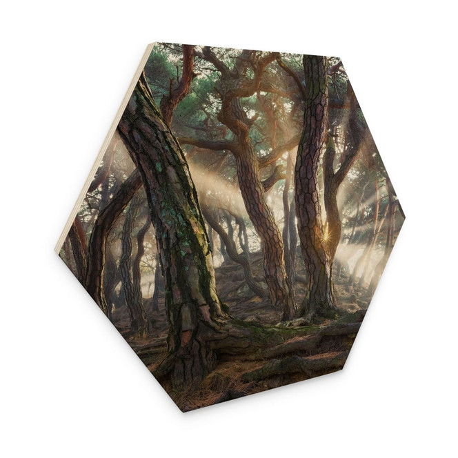 Hexagon-Holzbild Heiliger Kiefernwald - Ryu