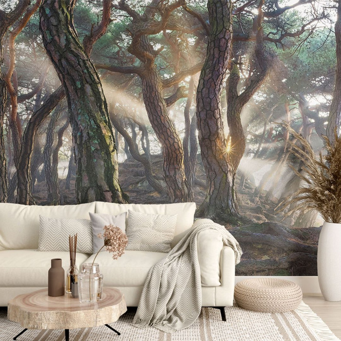 Fototapete Ryu - Heiliger Kiefernwald