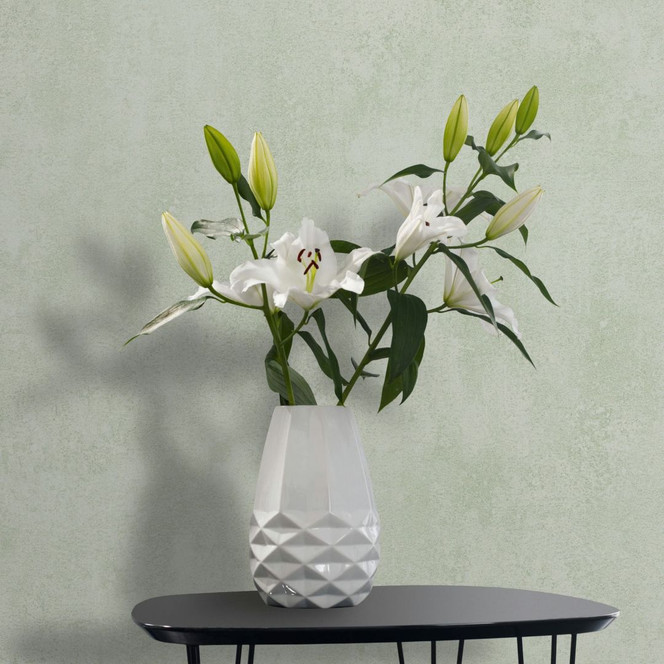 Vliestapete in Grün Betonoptik Used-Look Uni