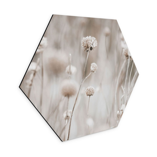Hexagon Wandbild Getrocknete Blüten in sanften Tönen - Annie - Alu-Dibond