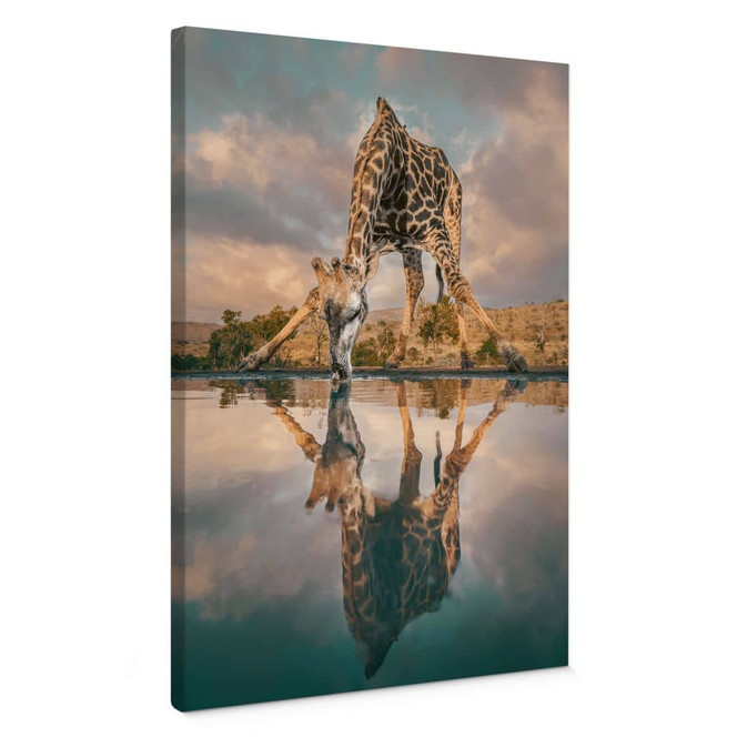 Leinwandbild Reflexion einer Giraffe in der Wildnis - Amtmann