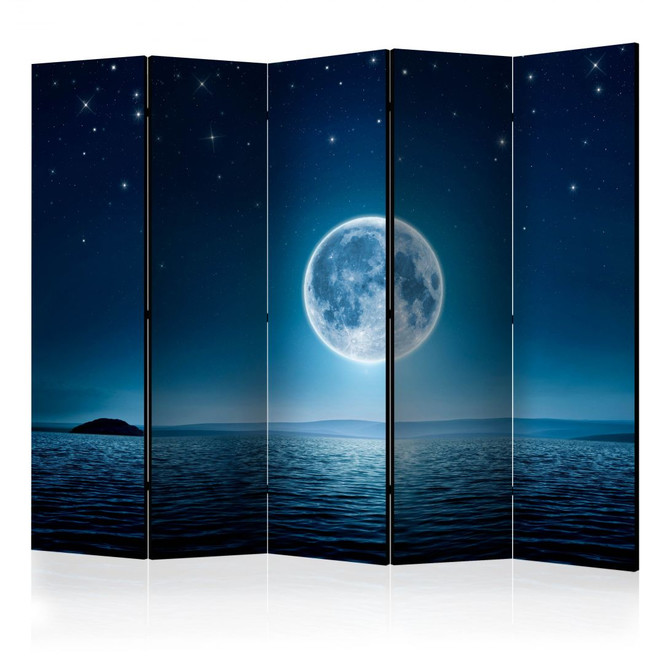 Paravent, Raumteiler freistehend, Trennwand - Moonlit night II, 5-teilig - einseitig bedruckt - 225 x 172 cm