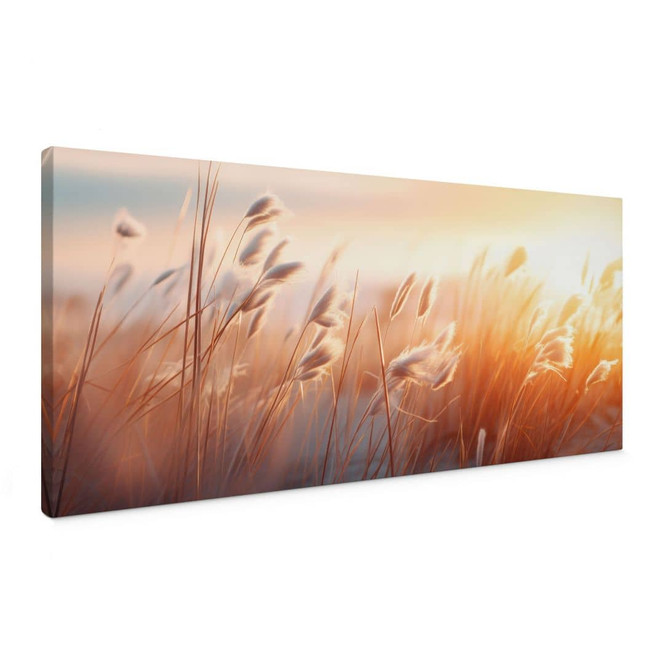 Leinwandbild Dünengras in der Abendsonne - Treechild - Panorama