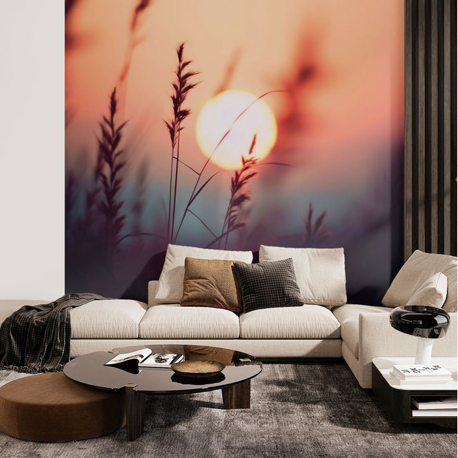 Natur Fototapete Gräser im Licht der glühenden Sonne - Treechild