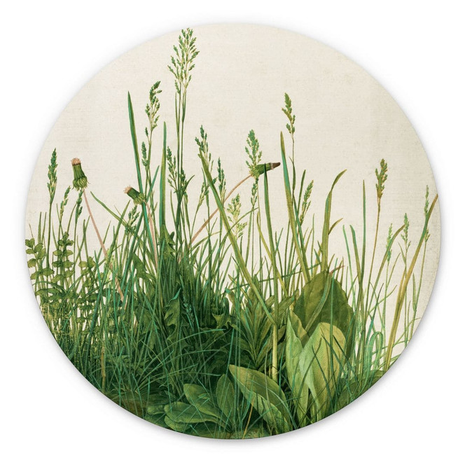 Alu-Dibond Dürer - Das grosse Rasenstück - Rund