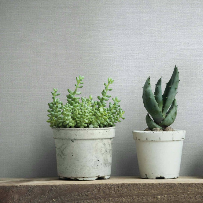 Vliestapete Texturiert Uni Modern in Grau