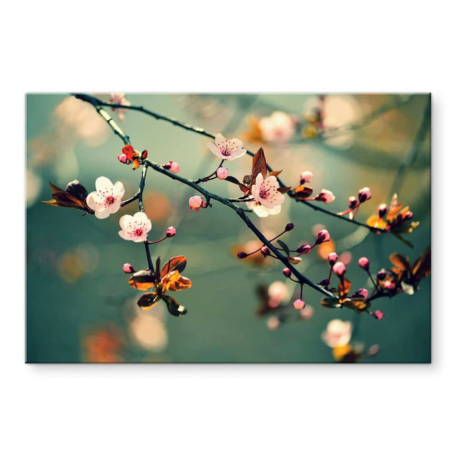 Acrylglasbild Frühlingserwachen