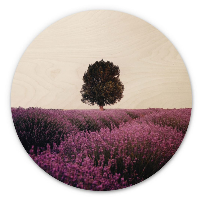 Holzbild Lila Lavendelfelder bei Sonnenuntergang - Cevik - Rund