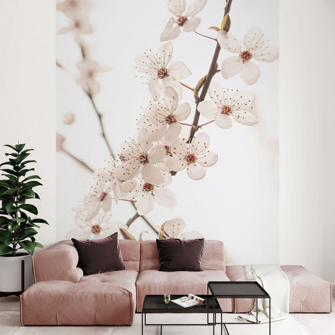 Florale Fototapete Zweig mit weissen Kirschblüten - Sisi & Seb