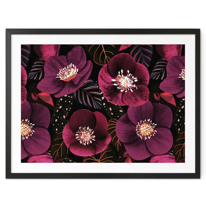 Poster Florale Blütenpracht in Purpurtönen - Anis Illustration