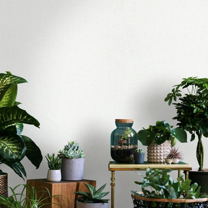 Vliestapete mit leichter Struktur weiss Uni