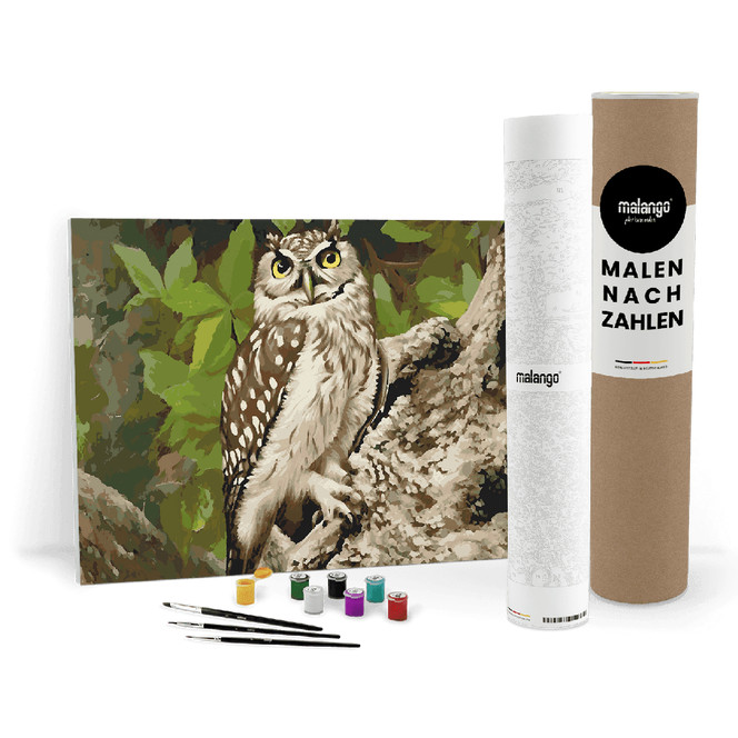 Malen nach Zahlen Leinwandbild - Eule Emilio