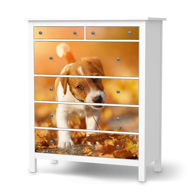 Klebefolie IKEA Hemnes Kommode 6 Schubladen - Jack the Puppy- Bild 1