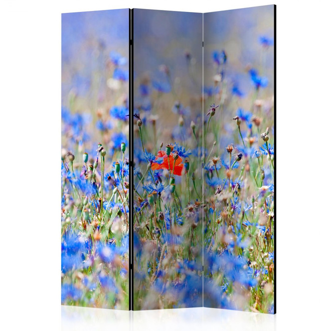 Paravent, Raumteiler freistehend, Trennwand - Himmelswiese - Kornblumen