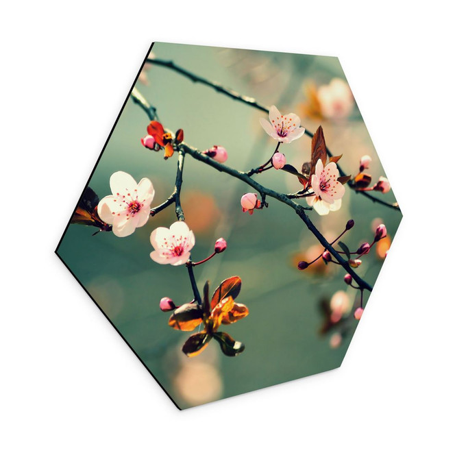 Hexagon Wandbild Frühlingserwachen - Alu-Dibond