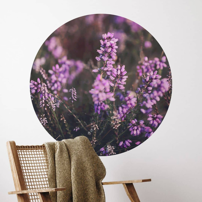 Wandtattoo Lila Heideblüte im warmen Licht | Blumen Wandsticker - Annie - Rund