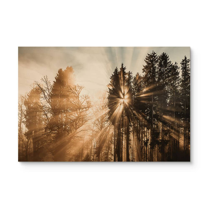 Holzbild Lichtstrahlen im Wald - Eisenmann