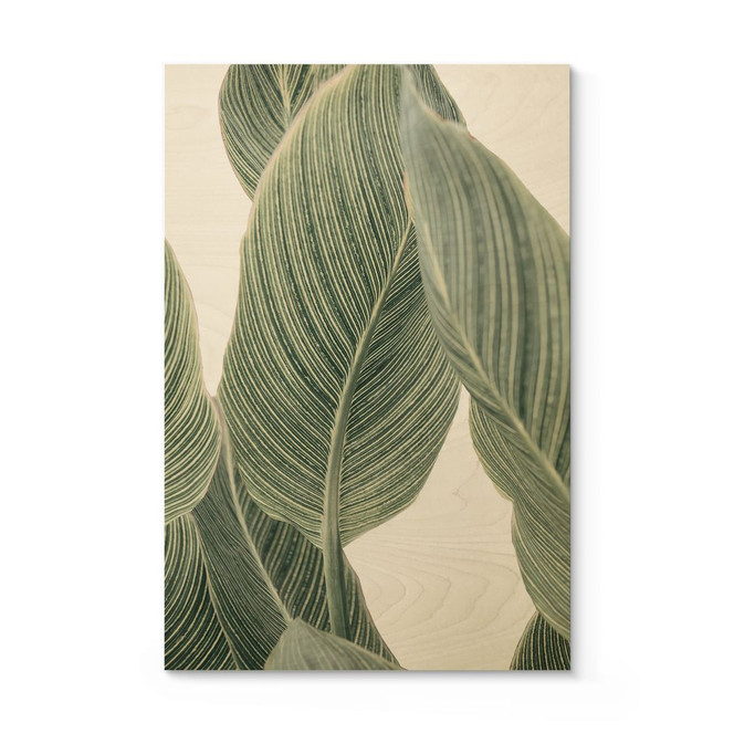 Holzbild Calathea Pflanze - Sisi & Seb
