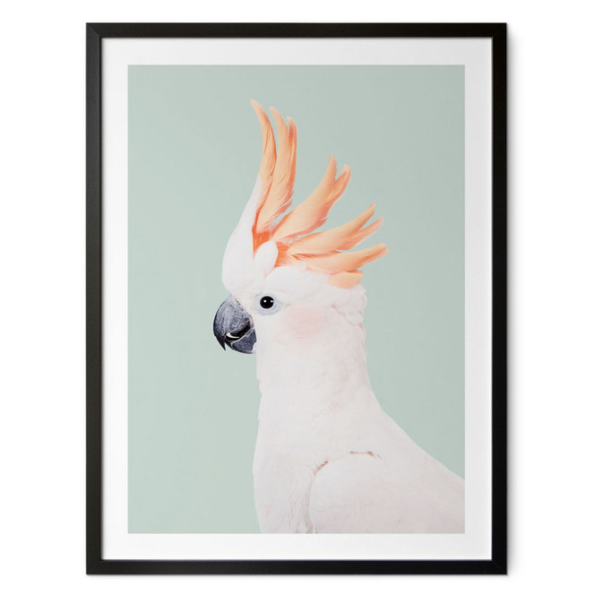 Poster Tierporträt Rosa Kakadu - Sisi & Seb