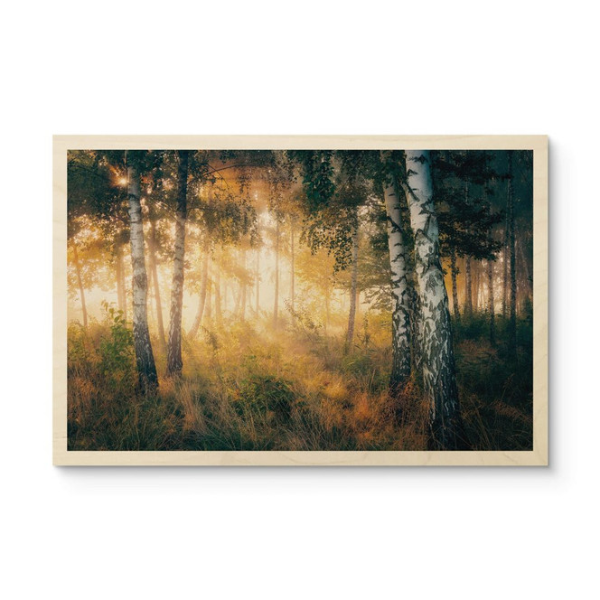 Holzbild Sonnenschein im Birkenwald - Kado