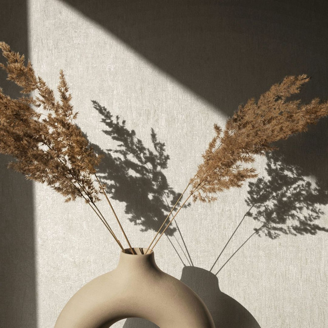 Vliestapete in Beige Betonoptik Uni Modern