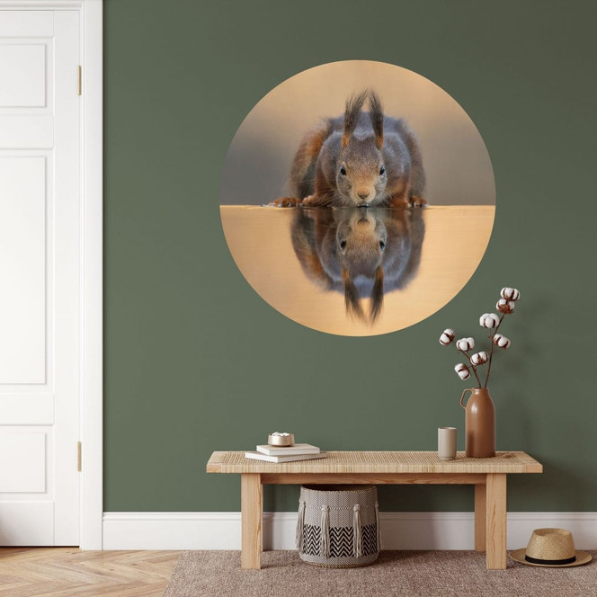 Wandtattoo Eichhörnchen am Wasser - van Duijn - Rund
