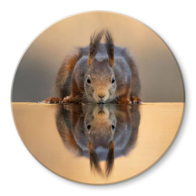 Glasbild Eichhörnchen am Wasser - van Duijn - Rund