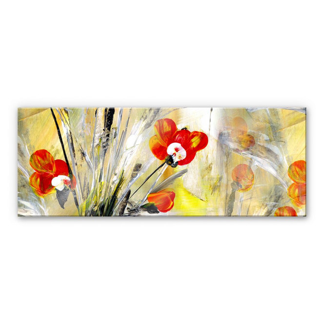 Acrylglasbild Niksic - Kleiner Mohn - Panorama