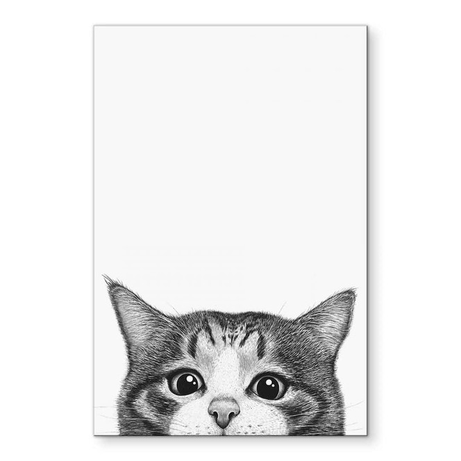 Wandbild Neugierige Katze - Korenkova - Alu- Dibond