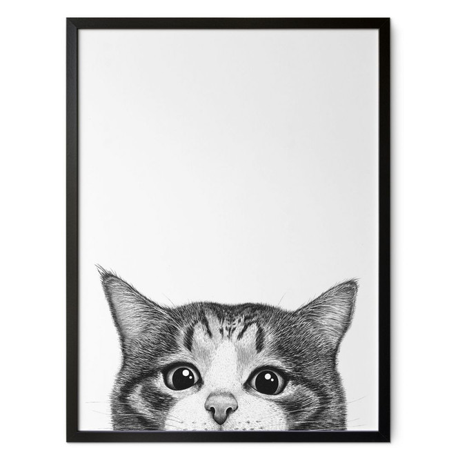 Poster Neugierige Katze - Korenkova