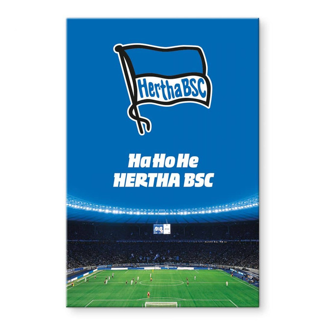 Acrylglasbild Hertha BSC - HaHoHe