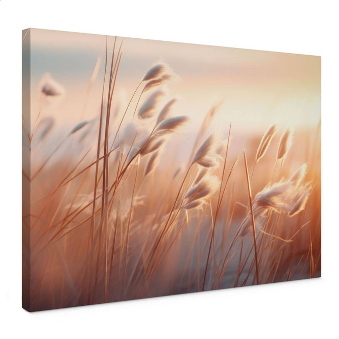 Leinwandbild Dünengras in der Abendsonne - Treechild