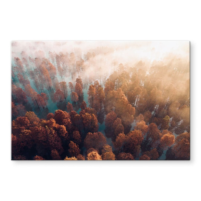 Acrylglasbild Herbstwald im Nebel - Ioricon