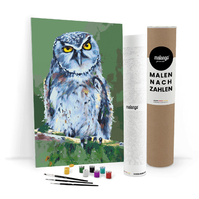 Malen nach Zahlen Leinwandbild - Eule Ernst